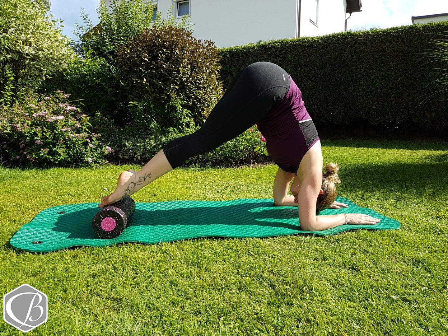 Faszientraining: von der Theorie zur Praxis - Fitness e!Motion