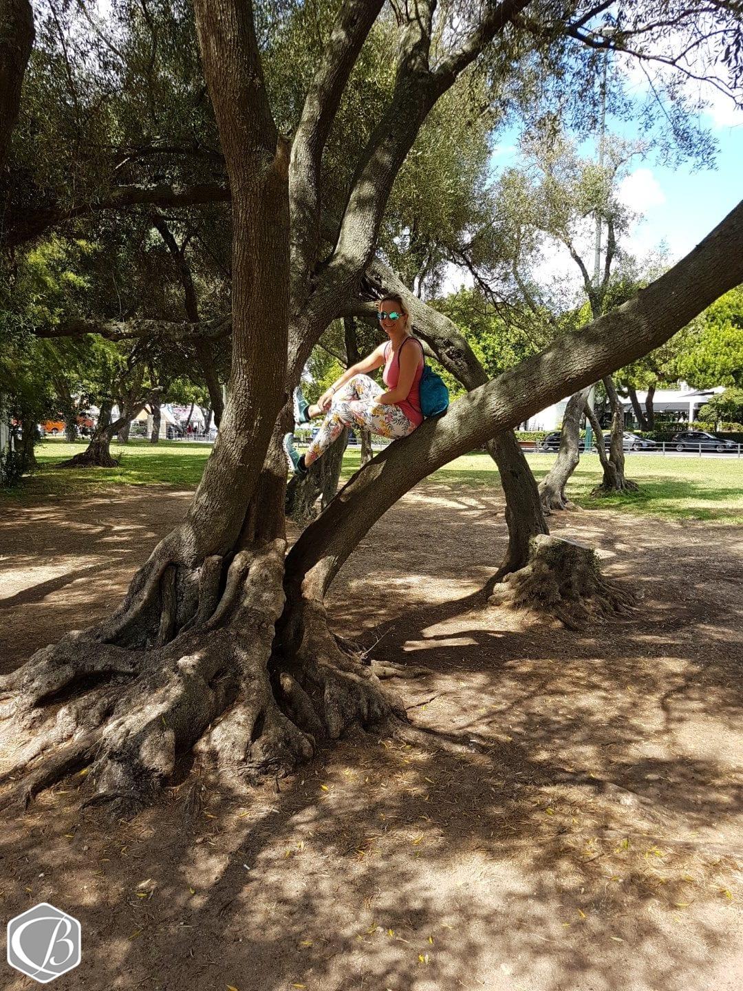 Klettermaxi (Lissabon) - Fitness e!Motion Klettermaxi Lissabon Portugal Urlaub