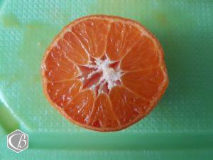 Faszien faszinieren Teil 1 - Fitness e!Motion