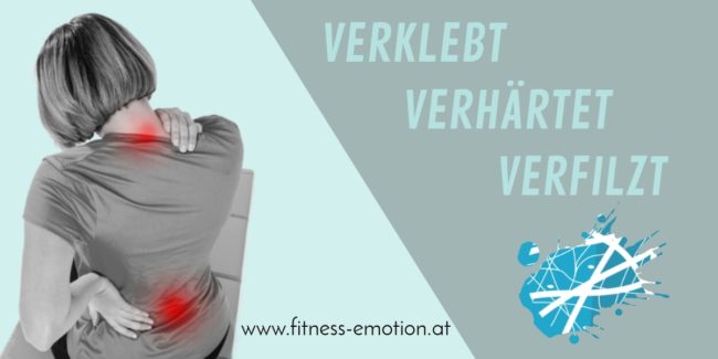 Faszientraining Faszien Mobilität Flexibilität Schmerzlinderung