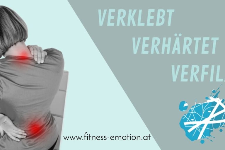 Faszientraining Faszien Mobilität Flexibilität Schmerzlinderung