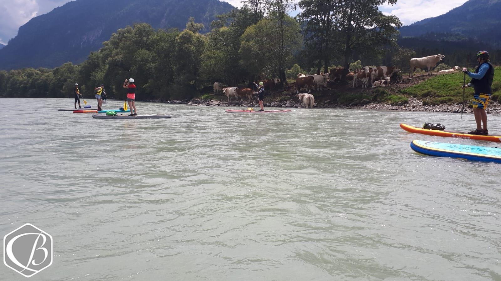 SUP-Tour auf der Drau - Fitness e!Motion