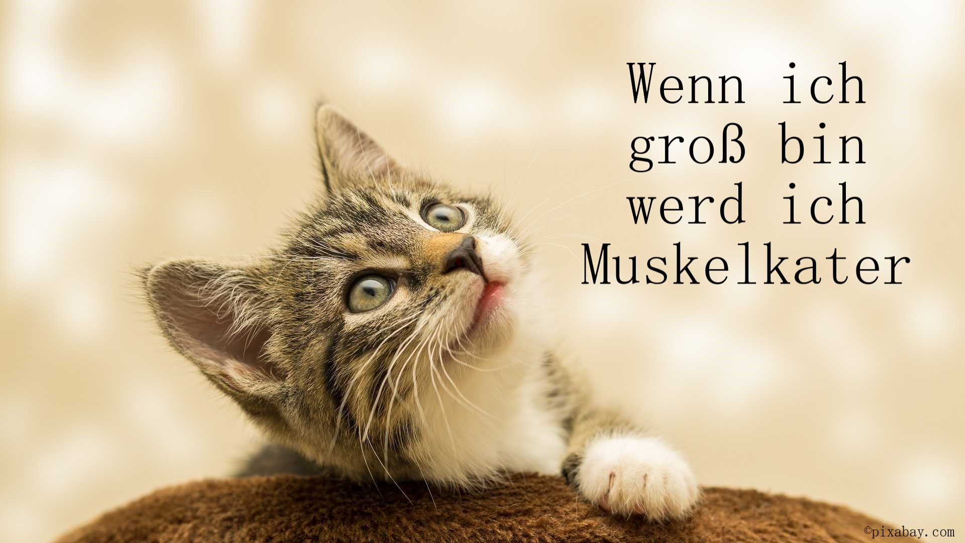 Muskeln Muskelkater Spatzen Muskelfaserriss Fitnesstraining Fitness Übertraining