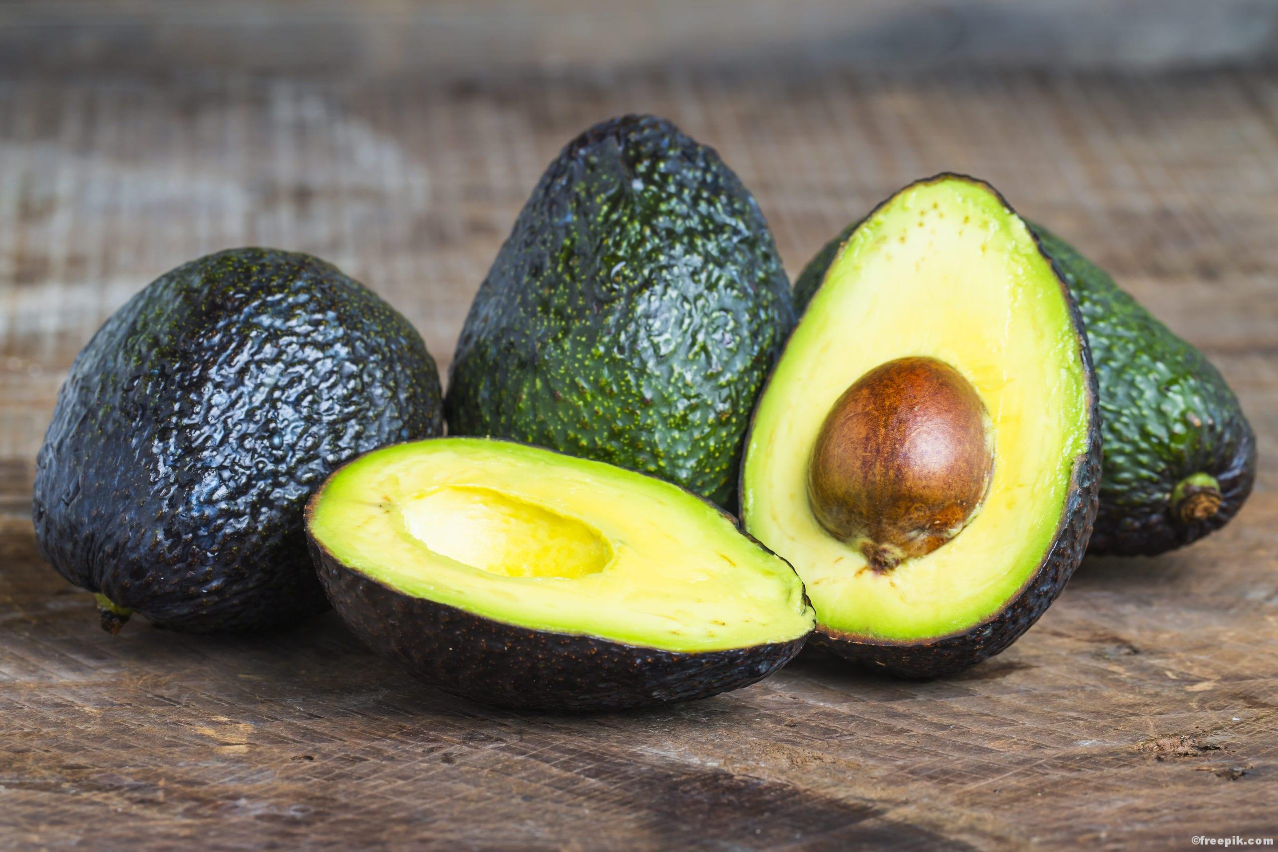Experiment Avocado-Baum – Fitness e!Motion ©freepik.com Experiment Avocado-Baum