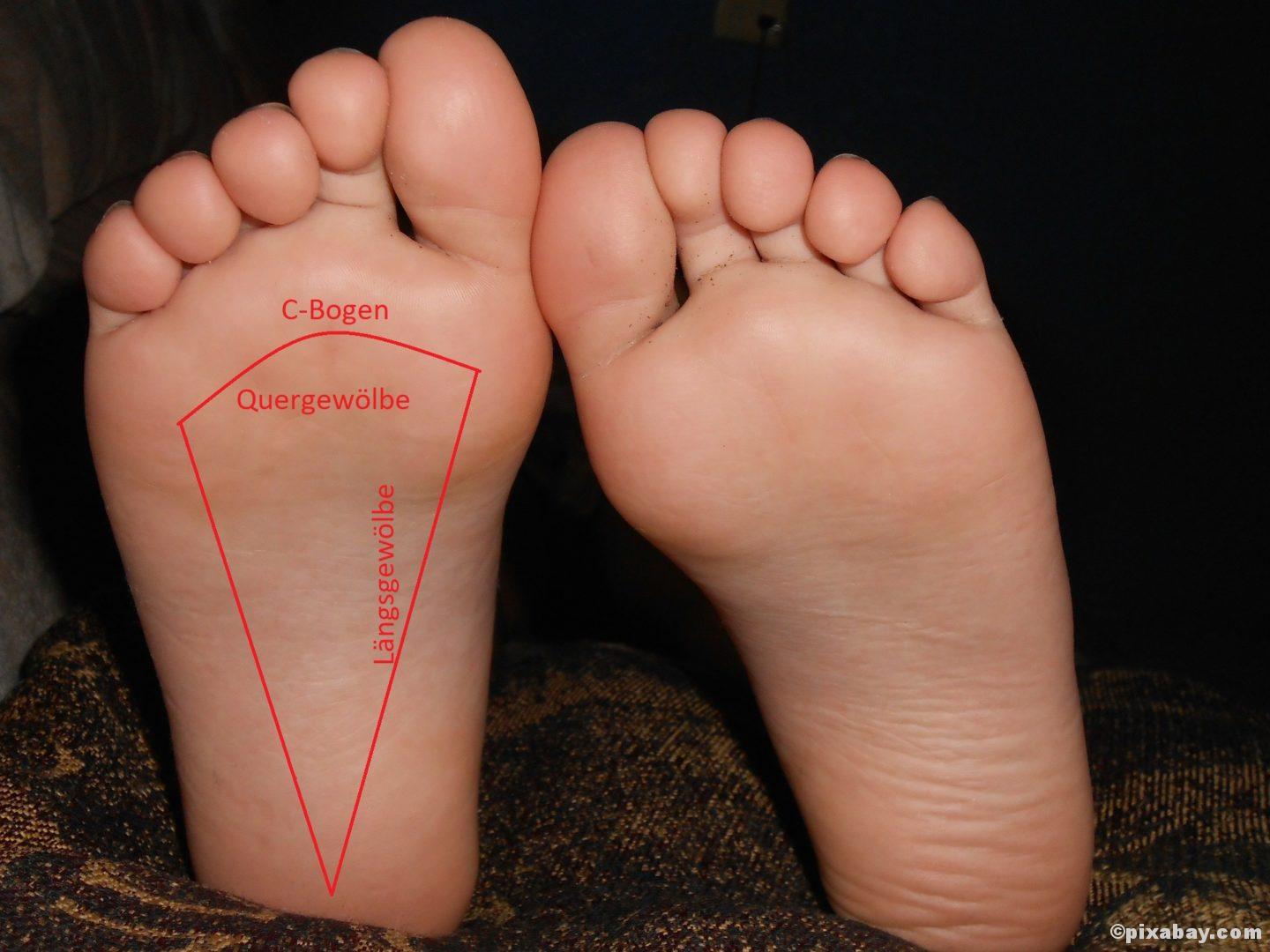 Wusstest du schon, dass...? - Fitness e!Motion ©pixabay.com Wusstest du schon, dass...? Füße Fundament des Körpers Fußanalyse