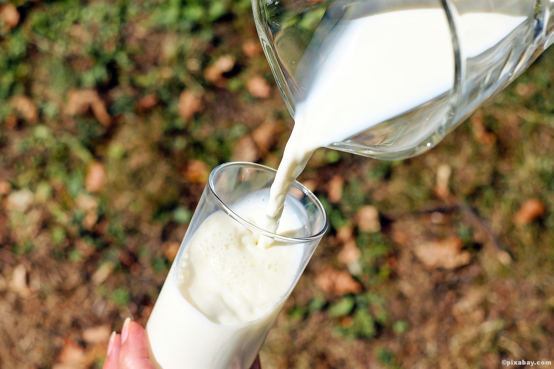 Wunderwerk Mensch! Wusstest du schon, dass......der Gesetzgeber eine Maximalmenge Blut, Eiter, usw. in der Milch erlaubt?